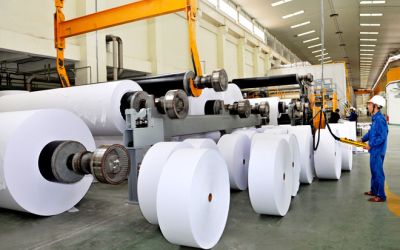 Ng&agrave;nh giấy giằng co, kỳ vọng bứt tốc từ qu&yacute; II/2025